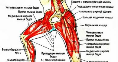 Упражнения на икры Как усилить мышцы ног